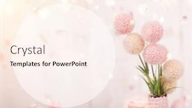  Presentation with pink flowers - Slide set having flowers-composition-for-valentine-s background and a cream colored foreground