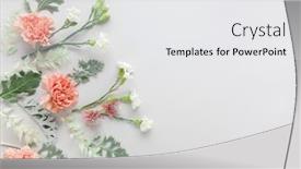  Presentation with leaves flat lay - Beautiful presentation theme featuring flowers-composition-made-of-coral backdrop and a white colored foreground