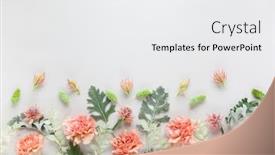  Presentation with leaves flat lay - Presentation theme having flowers-composition-made-of-coral background and a white colored foreground