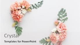  Presentation with leaves flat lay - Beautiful presentation theme featuring flowers-composition-made-of-coral backdrop and a light gray colored foreground