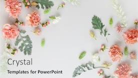  Presentation with leaves flat lay - PPT theme with flowers-composition-made-of-coral background and a white colored foreground