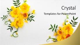  Presentation with top view - Cool new presentation with flowers composition oh white background backdrop and a white colored foreground