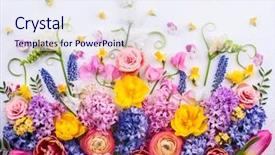  Presentation with flat - Beautiful theme featuring flowers composition oh white background backdrop and a sky blue colored foreground