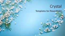  Presentation with minimal - Slide deck enhanced with flowers composition on pastel blue background and a light blue colored foreground