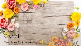  Presentation with spring flowers on textured - Amazing presentation theme having flowers composition on wooden background backdrop and a coral colored foreground