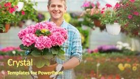  Presentation with greenhouse - Amazing presentation theme having portrait of happy gardener holding backdrop and a coral colored foreground