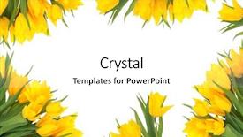  Presentation with flowers border - Cool new presentation theme with flowers forming an abstract border backdrop and a white colored foreground