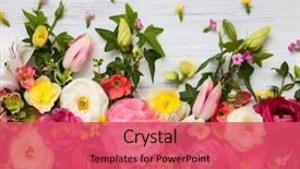  Presentation with white flower frame - Cool new slide set with flowers frame on white wooden backdrop and a red colored foreground