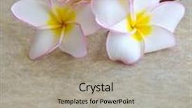  Presentation with frangipani flowers - Presentation theme having flowers frangipani on marble background background and a light gray colored foreground