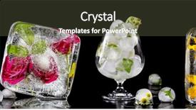  Presentation with ice frozen - Cool new theme with flowers frozen in ice backdrop and a tawny brown colored foreground