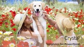  Presentation with young happy couple - Amazing slide deck having flowers golden - happy young couple playing backdrop and a  colored foreground