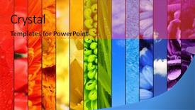  Presentation with sky - Colorful slide set enhanced with flowers grass sky and water backdrop and a red colored foreground