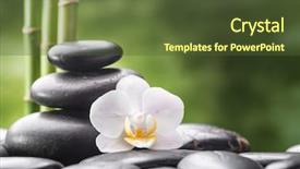  Presentation with zen stones - Cool new presentation with flowers green - zen basalt stones orchid backdrop and a  colored foreground
