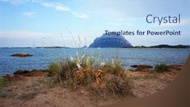 Presentation with growing - Presentation design featuring flowers growing on sand of beach in porto san paolo sardinia italy view to tavolara island background and a sky blue colored foreground