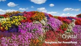  Presentation with floral - PPT layouts enhanced with flowers-growing-on-the-field background and a tawny brown colored foreground