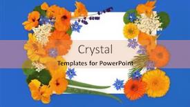  Presentation with homeopathic medicine - Slide deck consisting of flowers-herbs-and-wildflowers-abstract background and a gold colored foreground