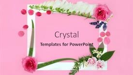  Presentation with homeopathic medicine - Theme consisting of flowers-herbs-and-wildflowers-used background and a lemonade colored foreground