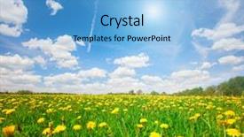  Presentation with blue yellow - Theme featuring flowers hill under blue cloudy background and a light blue colored foreground