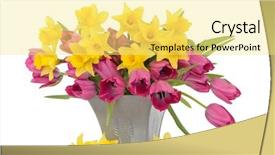  Presentation with daffodil - Presentation theme having flowers in a pewter vase background and a blonde colored foreground