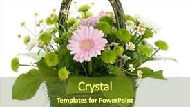  Presentation with white flowers of jasmine - Presentation design having flowers in basket and butterfly background and a tawny brown colored foreground