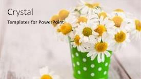  Presentation with flowers vase - 