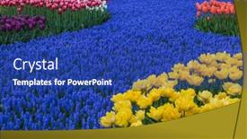  Presentation with garden - Colorful slide set enhanced with flowers-in-garden-keukenhof-netherlands backdrop and a ocean colored foreground