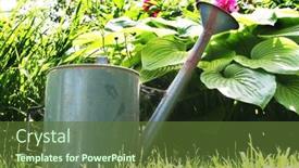  Presentation with garden - Colorful slides enhanced with flowers-in-the-garden backdrop and a tawny brown colored foreground