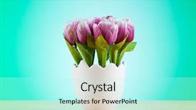  Presentation with paper quilling colorful paper flowers - Beautiful slide deck featuring one little chicken on cup isolated on white background backdrop and a yellow colored foreground