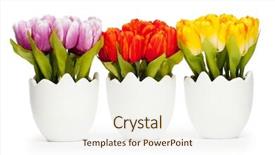  Presentation with white flowers - Amazing PPT theme having global alignment - digital device laptop align backdrop and a cool aqua colored foreground