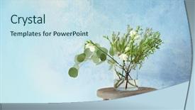  Presentation with beautiful flowers border floral design - Audience pleasing theme consisting of flowers in vase on light backdrop and a sky blue colored foreground