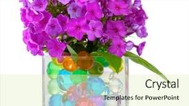  Presentation with flowers vase - Beautiful presentation design featuring flowers in vase with hydrogel backdrop and a soft green colored foreground