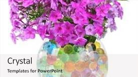  Presentation with flowers vase - Amazing PPT layouts having flowers in vase with hydrogel backdrop and a light gray colored foreground