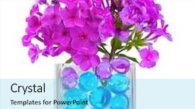  Presentation with flowers vase - Audience pleasing PPT layouts consisting of flowers in vase with hydrogel backdrop and a cyan colored foreground
