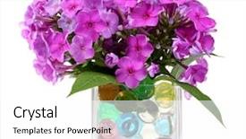  Presentation with flowers vase - PPT layouts with flowers in vase with hydrogel background and a white colored foreground