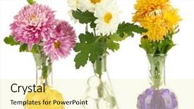  Presentation with beautiful flowers border floral design - Colorful PPT layouts enhanced with glass sphere plant - beautiful flowers in vases backdrop and a blonde colored foreground