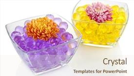  Presentation with white flowers - Slide deck consisting of yellow capsules round - beautiful flowers in vases background and a cream colored foreground