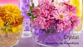  Presentation with beautiful flowers border floral design - Colorful slide set enhanced with yellow capsules round - beautiful flowers in vases backdrop and a coral colored foreground