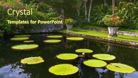  Presentation with bali - Slide deck consisting of flowers-in-water-palace-tirta background and a tawny brown colored foreground