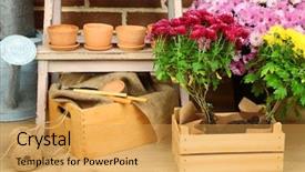  Presentation with garden tools - Presentation theme enhanced with flowers in wooden box pots and garden tools on bricks background planting flowers concept background and a yellow colored foreground