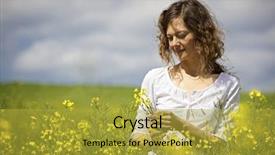  Presentation with rapeseed - PPT layouts enhanced with flowers in yellow rapeseed field background and a gold colored foreground