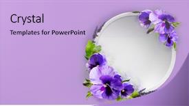  Presentation with postcard - Cool new presentation theme with flowers isolated on lilac backdrop and a light blue colored foreground