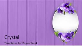  Presentation with white easter lily flowers - Slide set featuring flowers isolated on lilac background and a light blue colored foreground