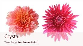  Presentation with instruction set - PPT theme featuring  background and a  colored foreground