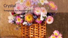  Presentation with jasmine spring flowers - Audience pleasing PPT theme consisting of flowers of daisies and primrose backdrop and a coral colored foreground