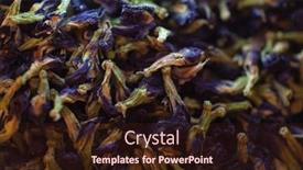  Presentation with blue food - PPT theme featuring flowers-of-the-dye-plant background and a wine colored foreground