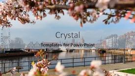  Presentation with poland - PPT theme enhanced with flowers-of-trees-blooming background and a light blue colored foreground