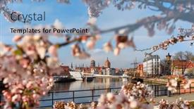  Presentation with poland - PPT theme featuring flowers-of-trees-blooming background and a light blue colored foreground