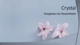  Presentation with pink perfume - PPT layouts with flowers on a light blue background and a light blue colored foreground