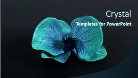  Presentation with wedding white - Audience pleasing PPT theme consisting of flowers-on-a-white-background backdrop and a tawny brown colored foreground