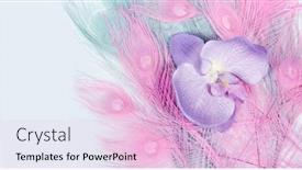  Presentation with wedding white - Colorful PPT theme enhanced with flowers-on-a-white-background backdrop and a lemonade colored foreground